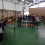 olimpiada sportului scolar , tenis de masa, stiri , botosani