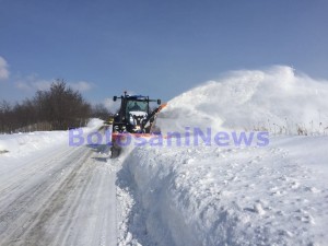 autofreza, deszapezire, stiri, botosani