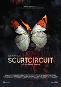 scurtcircuit_afis