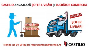 sofer livrari si lucrator comercial (1)