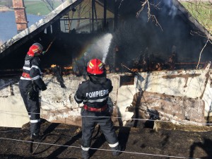 cabana arsa incendiu dorohoi