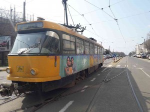 tramvaie blocate (2)