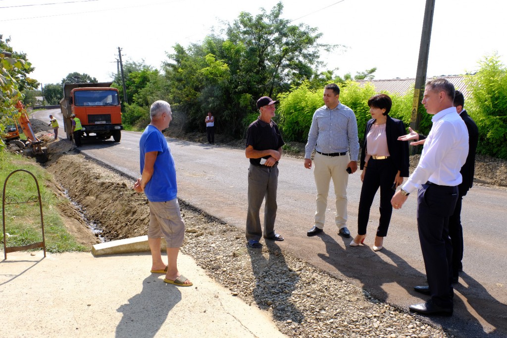 cristesti, psd, stiri, botosani, doina federovici