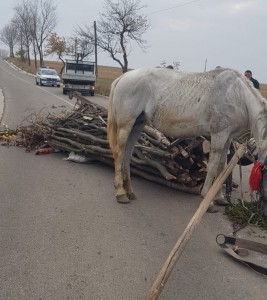 accident, stiri, baluseni, botosani