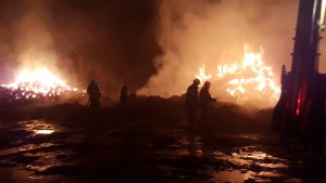 incendiu furaje, stiri, botosani, pompieri, corlateni (4)