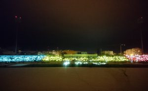 tricolor, centenar, stadionul municipal, stiri, botosani