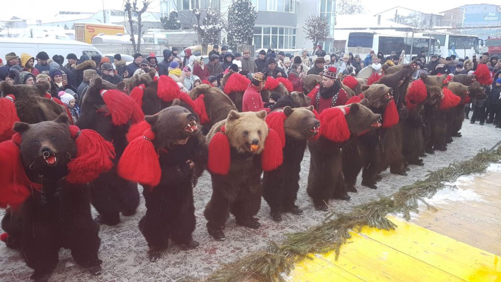 datini si obiceiuri de iarna, darabani , stiri, botosani