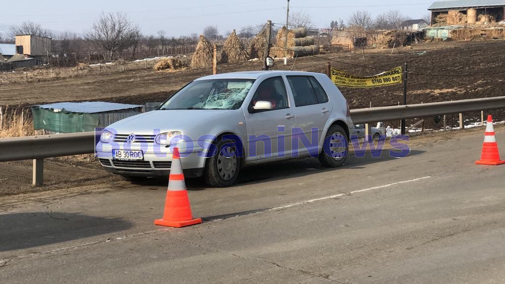 accident, stiri, botosani, pieton, flamanzi