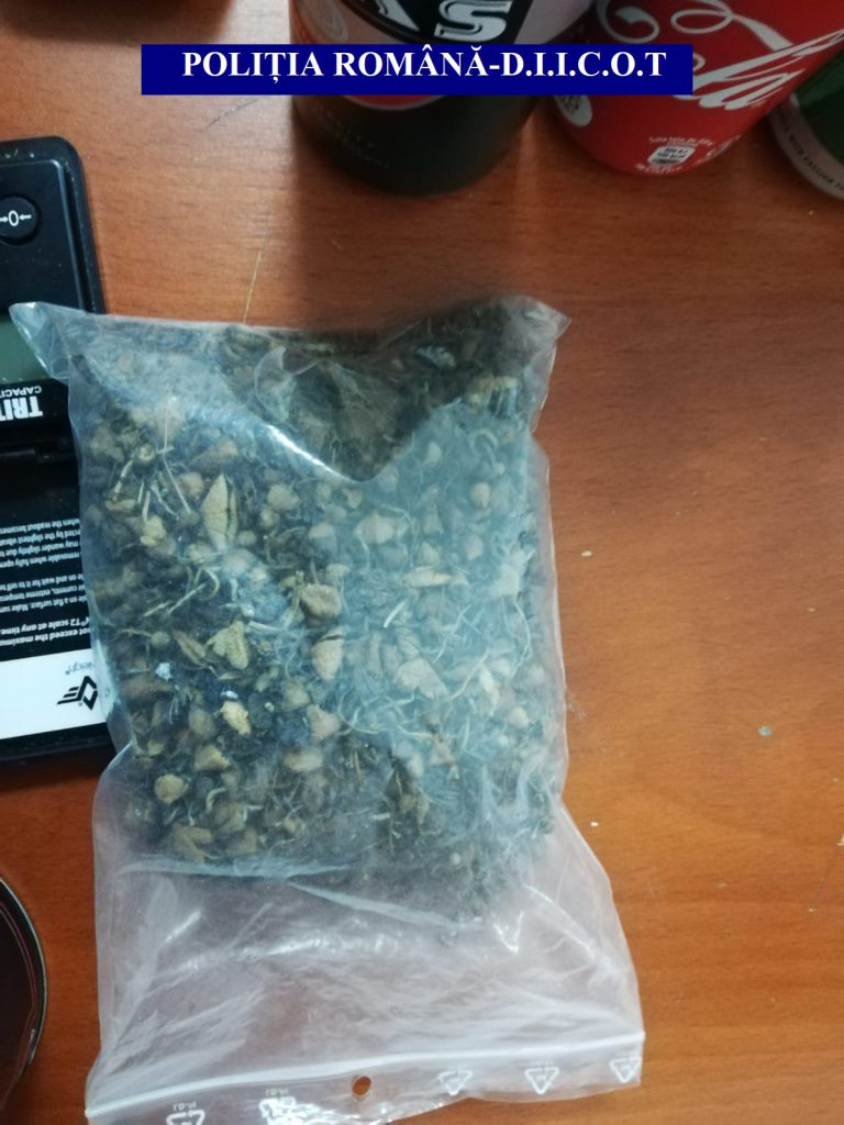 droguri, politie, stiri, botosani, cannabis (3)