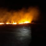 incendiu de vegetatie la Botosani- noaptea