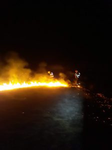 incendiu de vegetatie la Botosani- noaptea