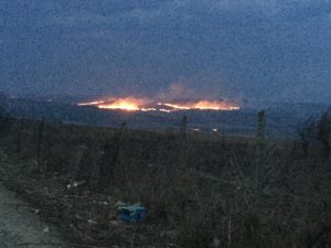 incendiu vegetatie, stiri , botosani