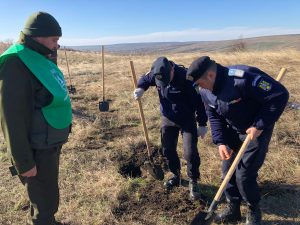 jandarmi din Botosani la o actiune de impadurire la Trusesti 