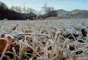 frig, stiri, botosani, meteo