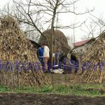 crima- bebelus ucis la Hudesti- Botosani (2)