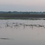 inundatii pe Prut la Baranca- Hudesti din judetul Botosani