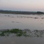 inundatii pe Prut la Baranca- Hudesti din judetul Botosani (2)