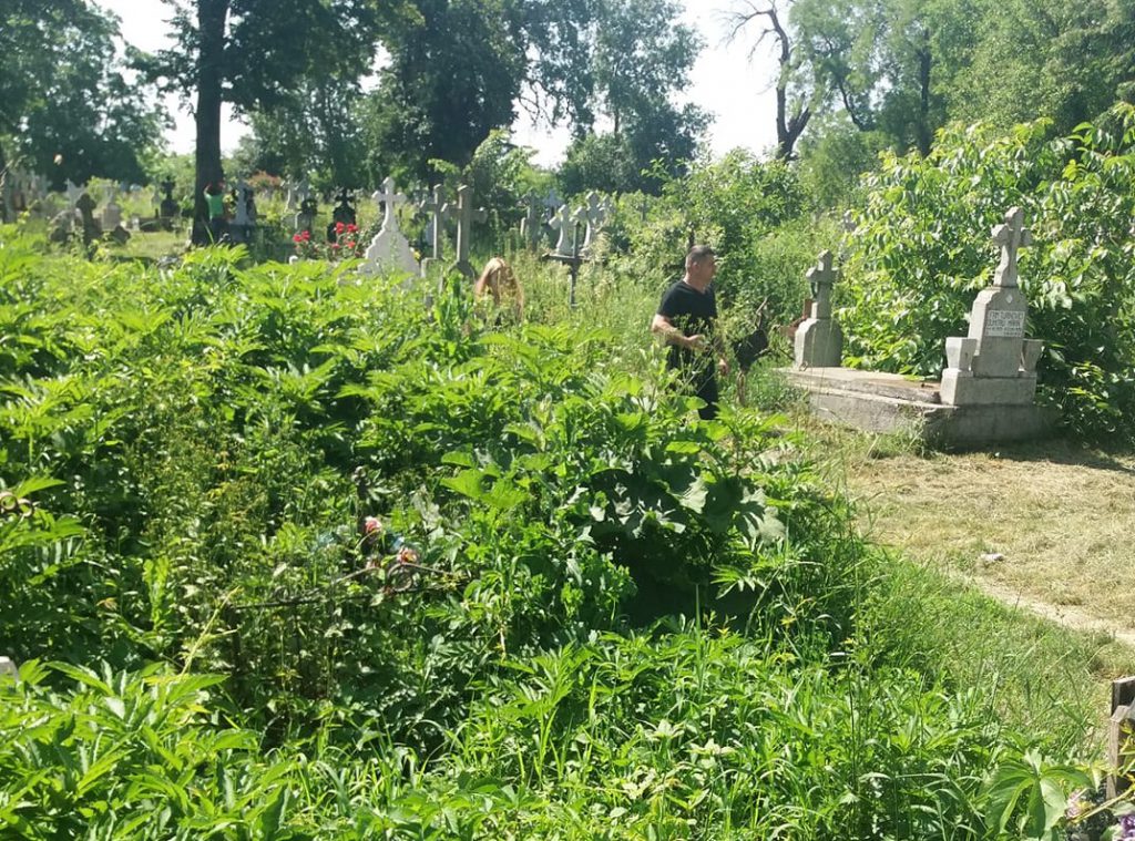 morminte acoperite de buruieni la Cimitirul Eternitatea din Botosani