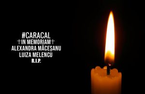 piesa rapp in memoriam Alexandra Macesanu- Botosani 2019